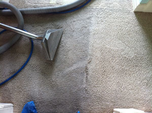 Carpet Cleaner Preston