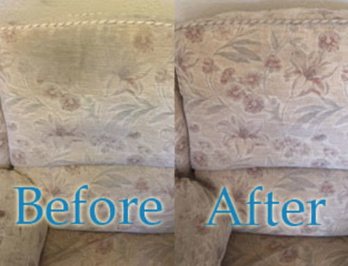 Professional Upholstery Cleaner Garstang