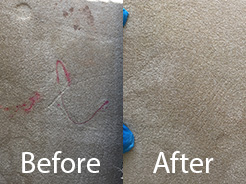 Carpet Stain Removal Lancashire