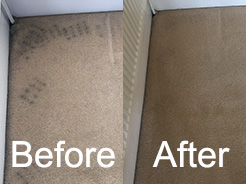 Carpet Cleaner Lancashire