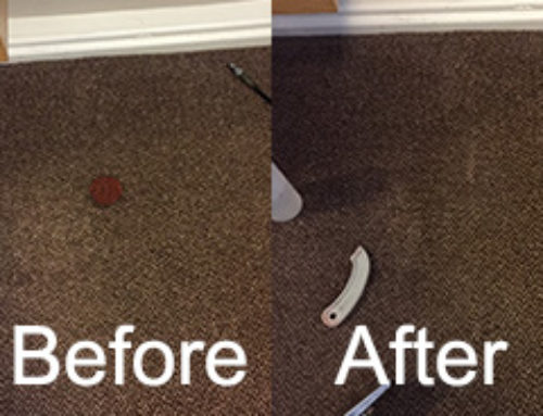 How to Remove Wax from Carpet – Read More Here
