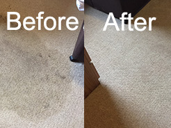 Carpet Cleaner Kirkham