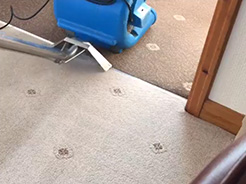 Carpet Cleaner Thornton