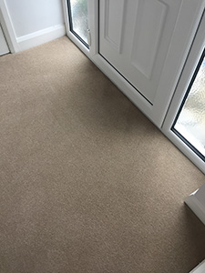 Carpet Cleaner Thornton