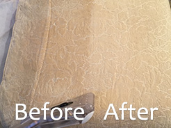 Cleaning Upholstery Barton