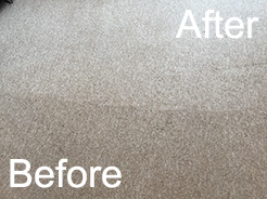 Steam Cleaning Carpets Thornton Cleveleys