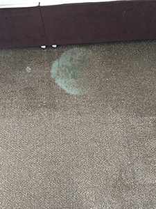 how to remove mould from carpets Kirkham