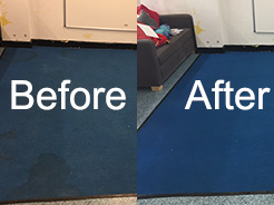 Cleaning dirty carpets Poulton