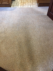 Carpet Cleaning Tips Lancashire