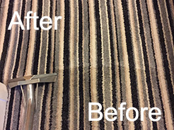 Cleaning carpet stains Blackpool