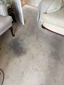 Removing carpet stains Lancashire