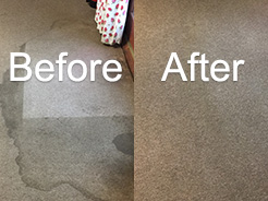 Removing carpet stains Blackpool