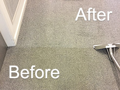 Carpet Cleaner Kirkham