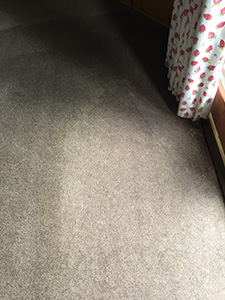 How to remove mold from carpets Lancashire