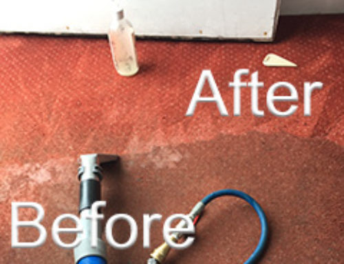 Unbelievable Carpet Cleaning Results Poulton – Read More Here