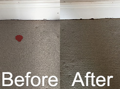 Carpet Stain Removal Kirkham
