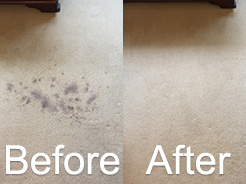 Carpet Cleaner Near Me