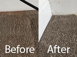 Carpet stain removal Lytham St Annes