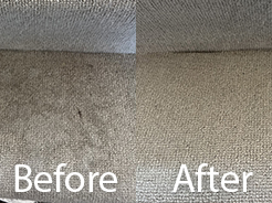 Carpet cleaning tips Preston