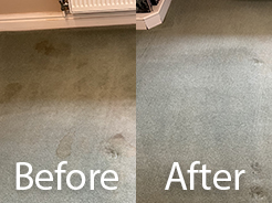 Carpet Cleaning Company Kirkham