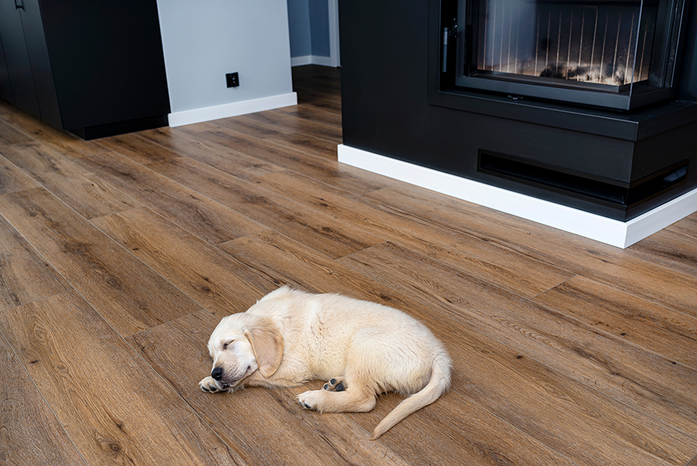 Restoring vinyl floors Wyre Vinyl floor cleaning Preston