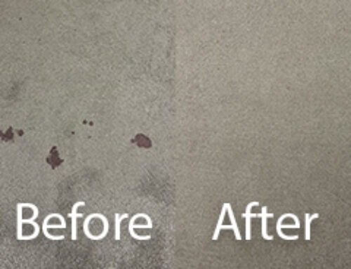 How to Remove Blood Stains Kirkham – Read More Here