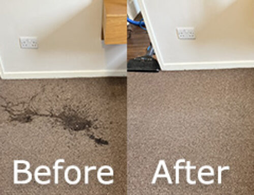 Cleaning Vomit from Carpets Wrea Green – Read More Here