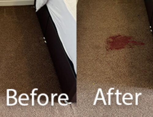 Removing Red Wine Stains from Carpets – Read More Here