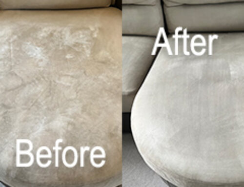 Removing Water Marks on Upholstery – Read More Here