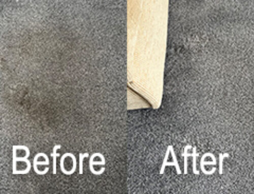 Tips to Protect Carpet Walkways in Your Home – Read More Here