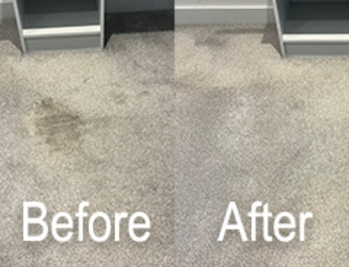 Effective Tips for Removing Tea and Coffee Stains from Carpets – Read More Here