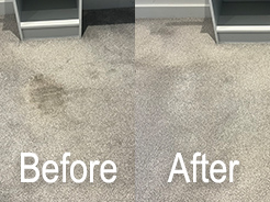 Professional carpet cleaning Kirkham