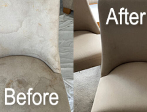 Why Regularly Cleaning Dining Chairs is Important – Read More Here