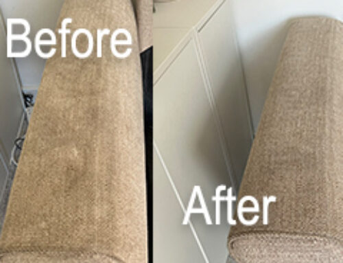 The Difference Professional Upholstery Cleaning Can Make – Read More Here