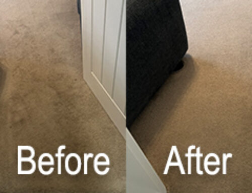 Why Do Carpet Doorways Get So Dirty? – Read More Here