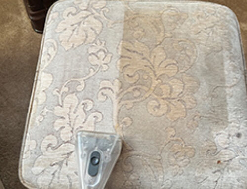 How Often Should I Have My Upholstery Professionally Cleaned? – Read More Here