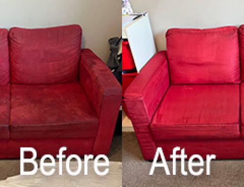 Transforming Faux Suede Suites with Professional Help – Read More Here