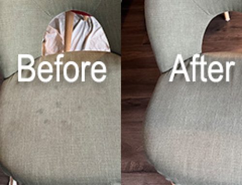 Let’s Talk About Cleaning Fabric Dining Chairs – Read More Here