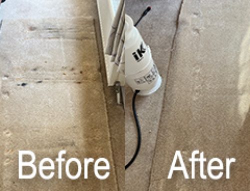 How Professional Carpet Cleaning Machines Remove Deep Stains – Read More Here