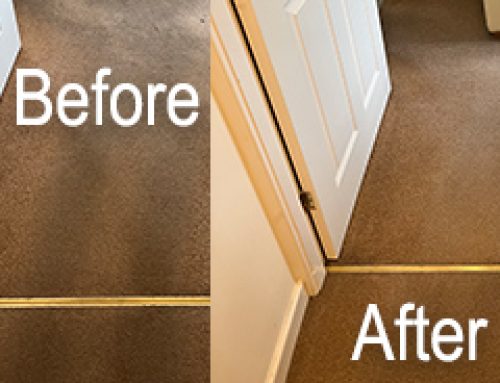 Why Carpet Walkways Get Dirtier Quicker