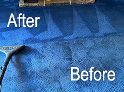 Carpet Cleaners Lancashire